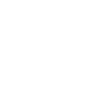 Conference-DesignFOOTER-300x300